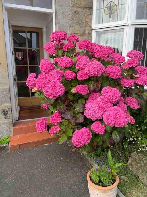 Kelvinside, Seahouses, 2 Minute Walk Into Village Экстерьер фото