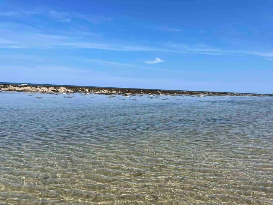 Kelvinside, Seahouses, 2 Minute Walk Into Village Экстерьер фото
