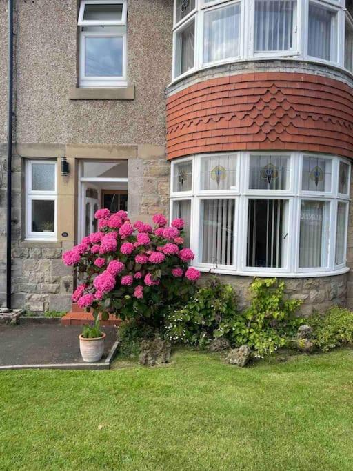Kelvinside, Seahouses, 2 Minute Walk Into Village Экстерьер фото