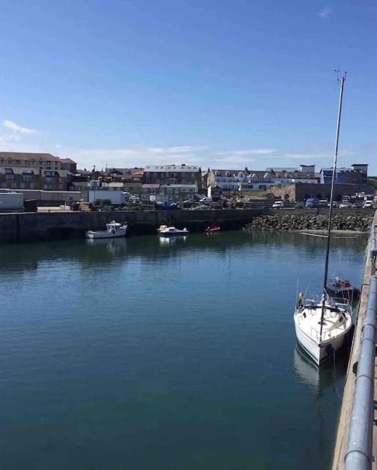 Kelvinside, Seahouses, 2 Minute Walk Into Village Экстерьер фото